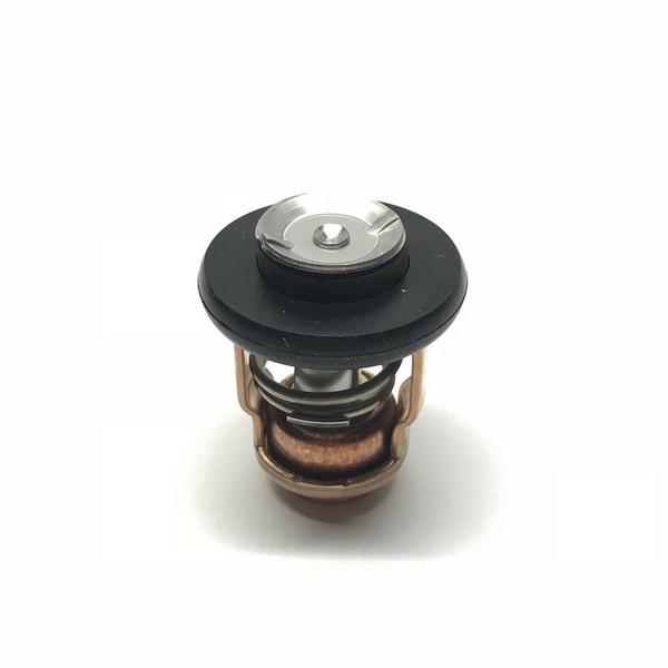 66M-12411-01-00 Yamaha THERMOSTAT